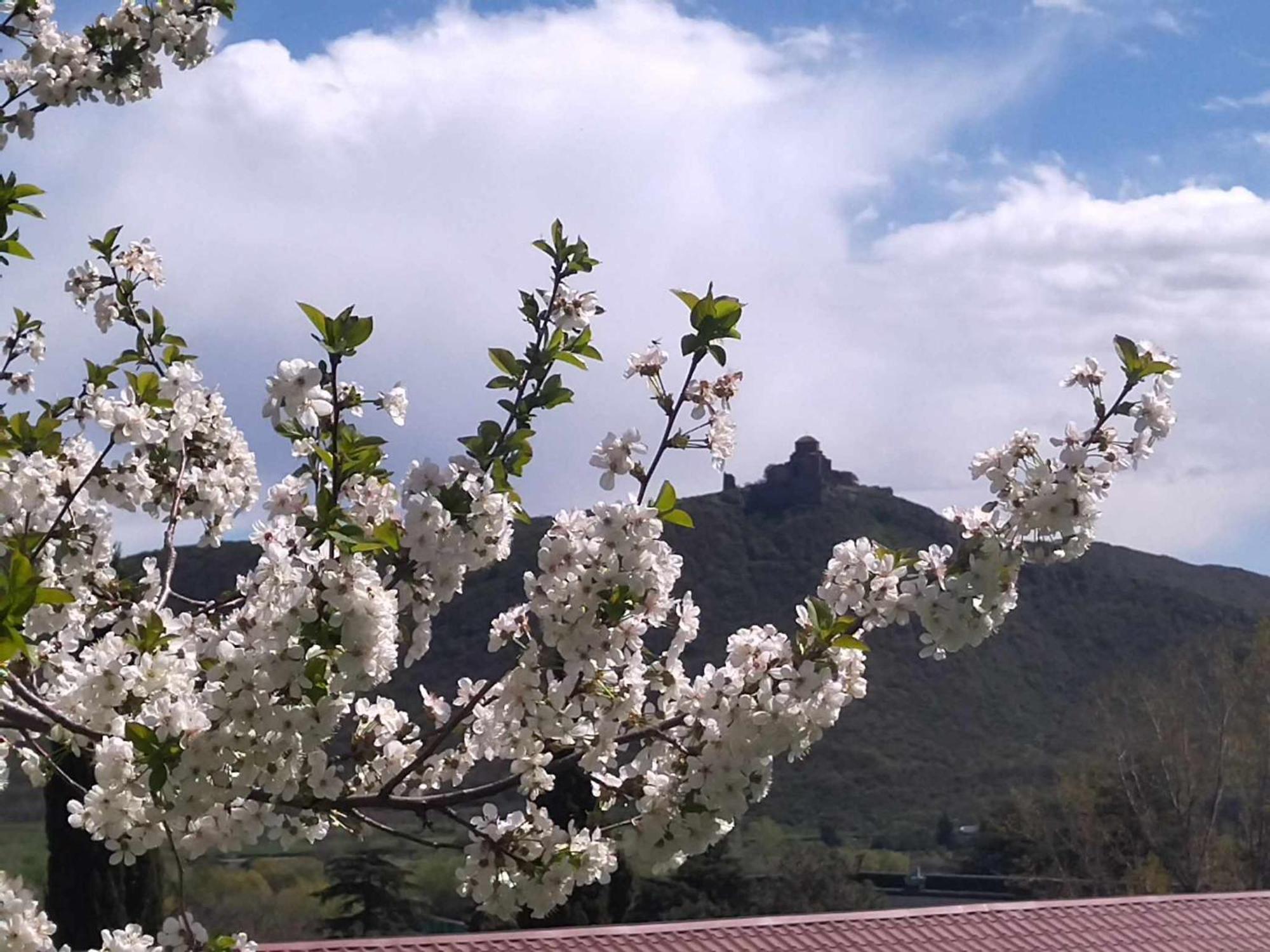 فندق Garden And Panorama Mtsʼkhetʼa المظهر الخارجي الصورة